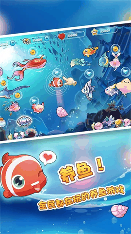 开心水族箱安卓版正版下载